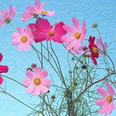 B体育登录APP下载官方